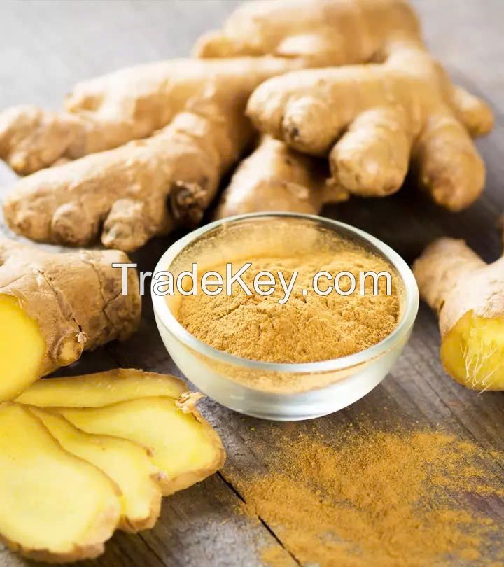 ORGANIC GINGER POWDER / NATURAL SPICE BOOST / MADE IN VIETNAM