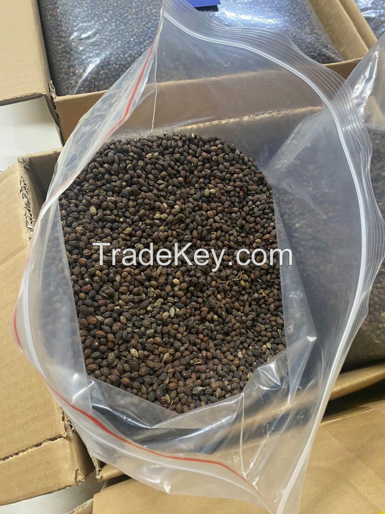 FRESHLY DRIED PAPAYA SEEDS / ORGANIC HEALTH BOOST / MADE IN VIETNAM