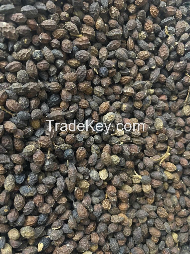 FRESHLY DRIED PAPAYA SEEDS / ORGANIC HEALTH BOOST / MADE IN VIETNAM