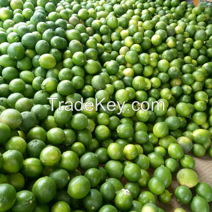 CONVENIENT SEEDLESS LIME / NO SEEDS, ALL FLAVOR, PERFECT FOR ANY RECIPE / MADE IN VIETNAM