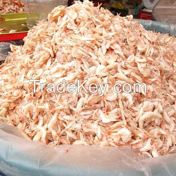 PREMIUM VIETNAM SHRIMP SALT 100% NATURAL SEASONING BULK EXPORT WITH LOW PRICE
