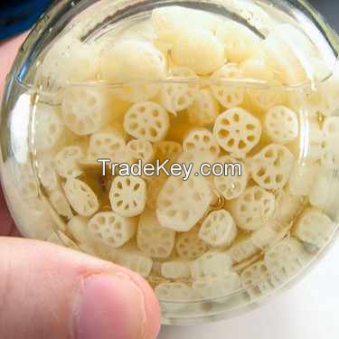 CRUNCHY LOTUS STEM / CANNED FOR CONVENIENCE / MADE IN VIETNAM