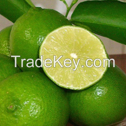 PREMIUM SEEDLESS LIME / BURSTING WITH FLAVOR, PERFECT FOR DRINKS AND DISHES / MADE IN VIETNAM