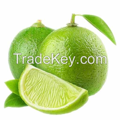 PREMIUM SEEDLESS LIME / BURSTING WITH FLAVOR, PERFECT FOR DRINKS AND DISHES / MADE IN VIETNAM