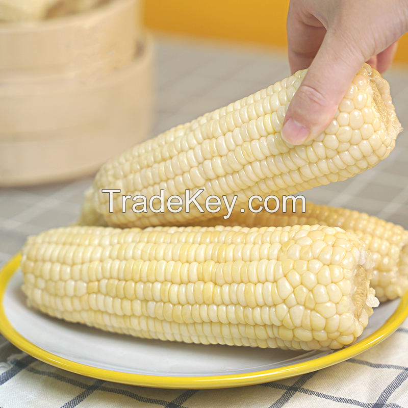 NATURAL FROZEN STICKY CORN / SWEET AND NUTRITIOUS / MADE IN VIETNAM