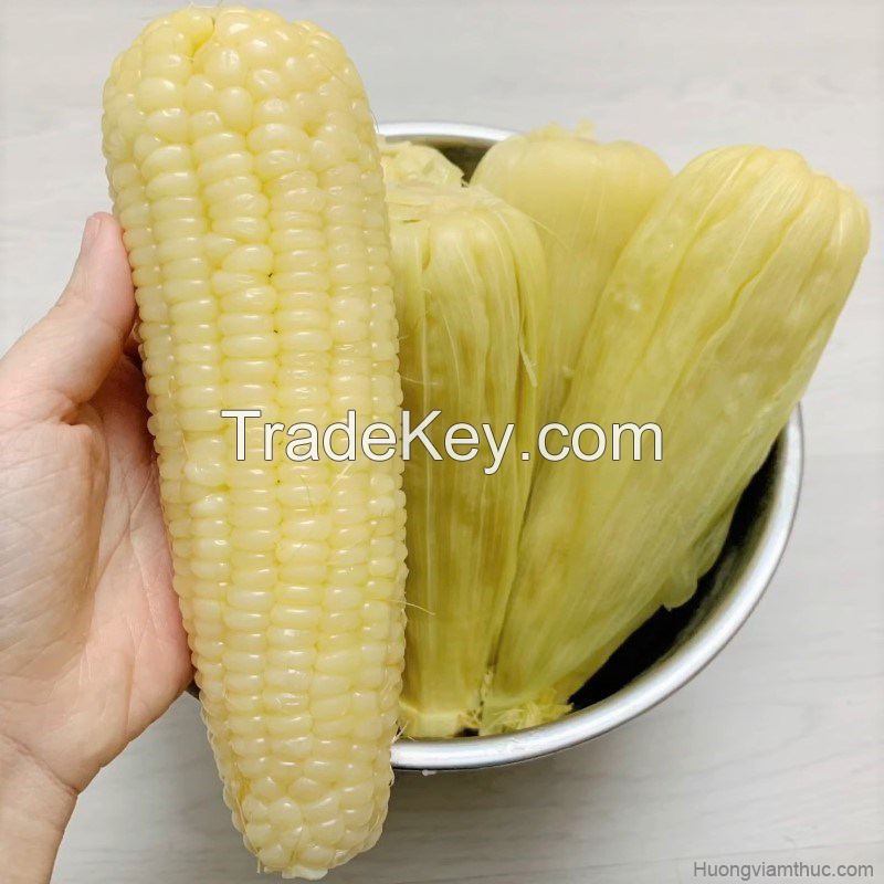 NATURAL FROZEN STICKY CORN / SWEET AND NUTRITIOUS / MADE IN VIETNAM