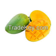 FRESH FROZEN MANGO CUBES FOR HEALTHY SNACKING / HIGH QUALITY / AFFORDABLE BULK DEAL / MADE IN VIETNAM