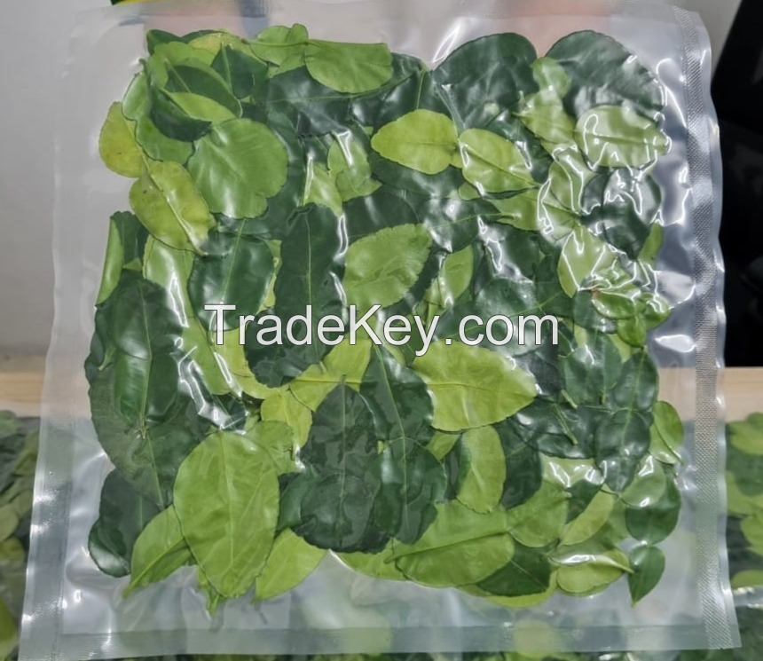 BEST FROZEN LEMON LEAF FOR HERBAL TEAS & DISHES / SUPERIOR AROMA / COMPETITIVE PRICES / MADE IN VIETNAM