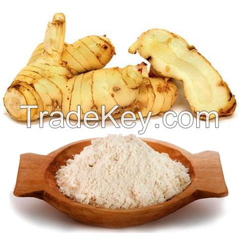 HIGH-PURITY GALANGAL POWDER / HANDGROUND & RICH IN FLAVOR / AVAILABLE NOW AT AFFORDABLE PRICE / MADE IN VIETNAM