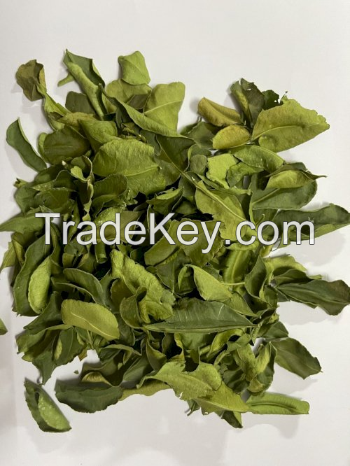 NATURALLY DRIED LIME LEAF / INTENSE CITRUS AROMA & PURE QUALITY / COST-EFFECTIVE BULK OPTIONS / MADE IN VIETNAM