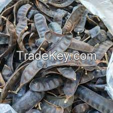 ORIGINAL HONEY LOCUST BOKET / HIGHLY NATURAL & VERSATILE / FAIR MARKET PRICE / MADE IN VIETNAM