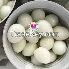 PREMIUM CANNED BOILED QUAIL EGG / DELICIOUS AND NUTRITIOUS / MADE IN VIETNAM