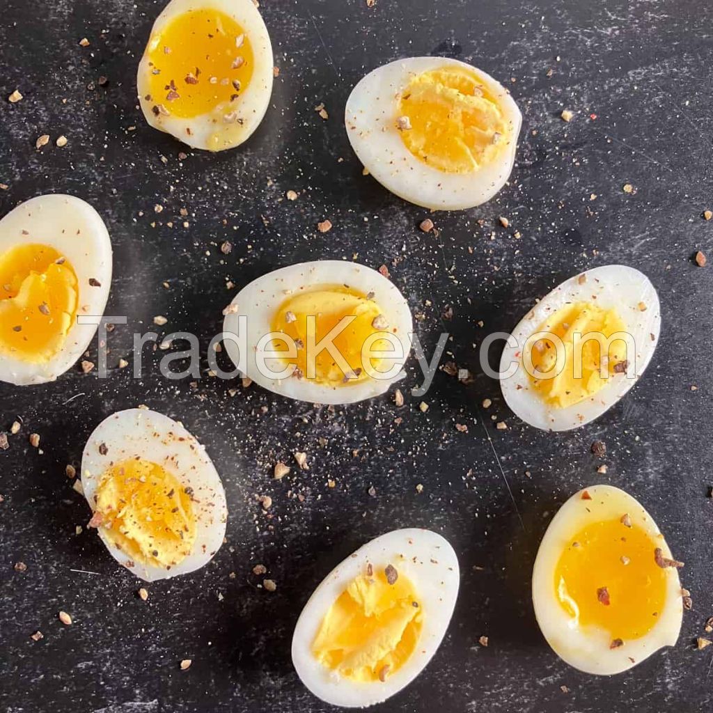 PREMIUM CANNED BOILED QUAIL EGG / DELICIOUS AND NUTRITIOUS / MADE IN VIETNAM