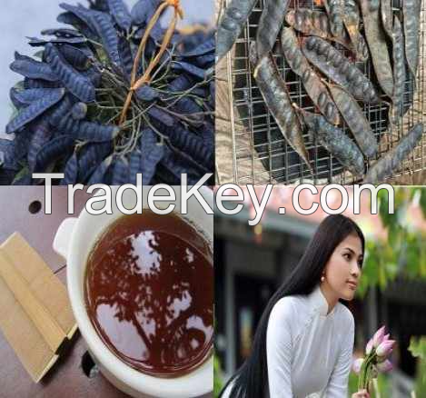 NATURAL GLEDITSIA EXTRACT / HIGH-QUALITY PLANT ESSENCE / MADE IN VIETNAM