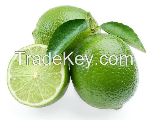 SEEDLESS LIME EXTRACT / PURE AND REFRESHING / MADE IN VIETNAM