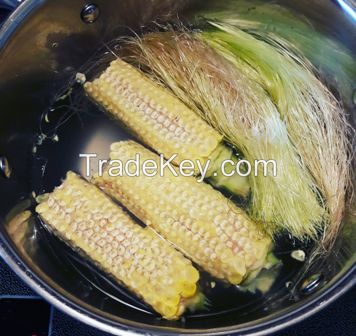 NATURAL CORN COB / ECO-FRIENDLY AND VERSATILE / MADE IN VIETNAM