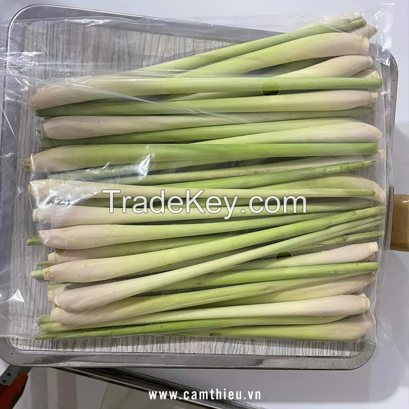 CLEAN & FRESH FROZEN LEMONGRASS / PERFECT FOR SEASONING / MADE IN VIETNAM