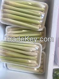 CLEAN & FRESH FROZEN LEMONGRASS / PERFECT FOR SEASONING / MADE IN VIETNAM