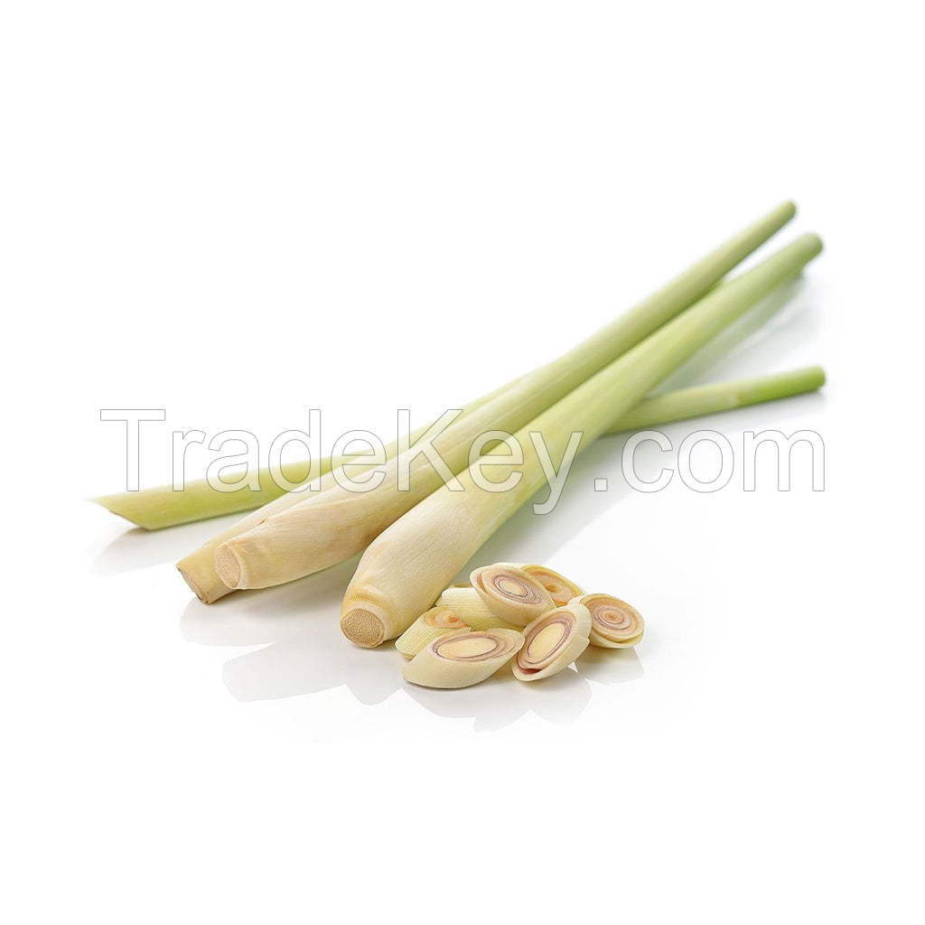 CLEAN & FRESH FROZEN LEMONGRASS / PERFECT FOR SEASONING / MADE IN VIETNAM