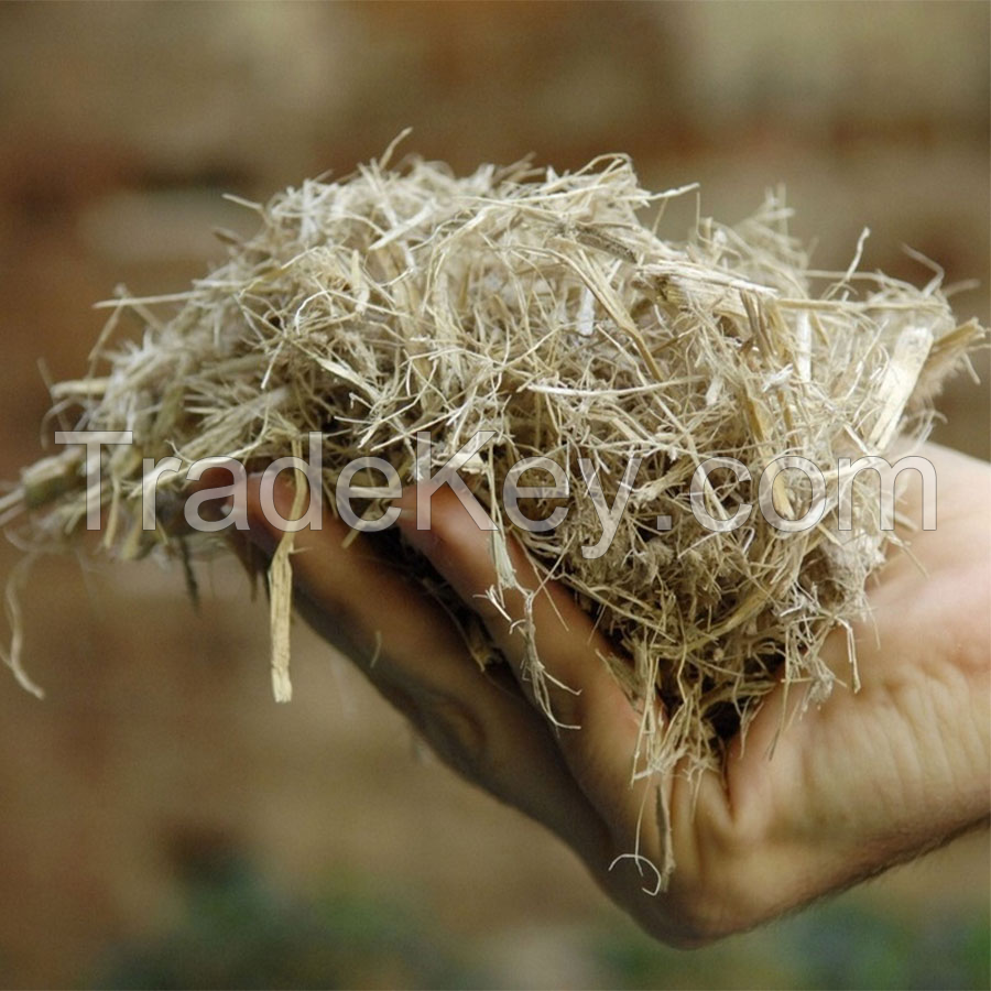 HIGH-FIBER BAGASSE SILAGE / OPTIMIZED FOR ANIMAL HEALTH / MADE IN VIETNAM
