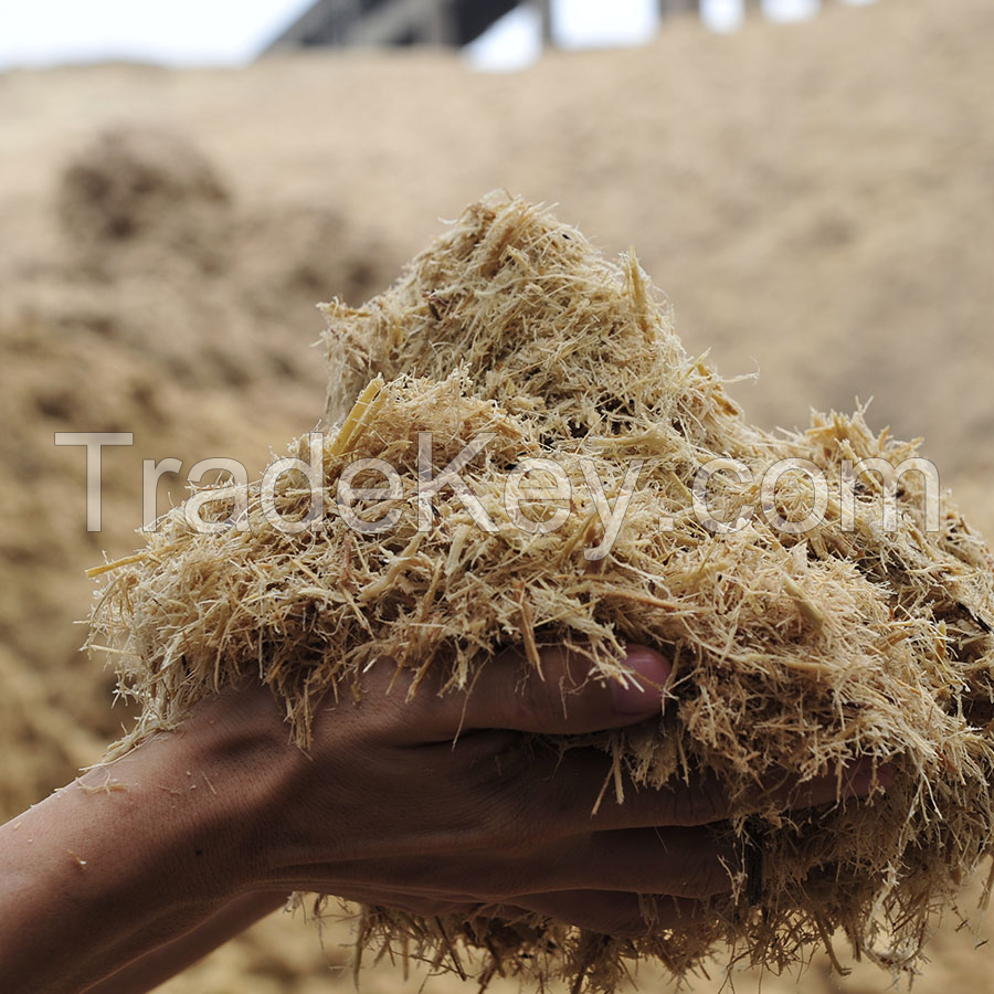HIGH-FIBER BAGASSE SILAGE / OPTIMIZED FOR ANIMAL HEALTH / MADE IN VIETNAM