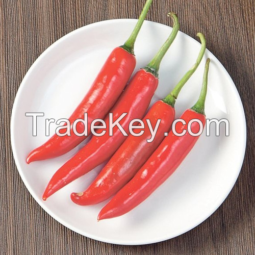 FARM-FRESH CHILI PEPPERS / BRIGHT AND FIERY HEAT / MADE IN VIETNAM