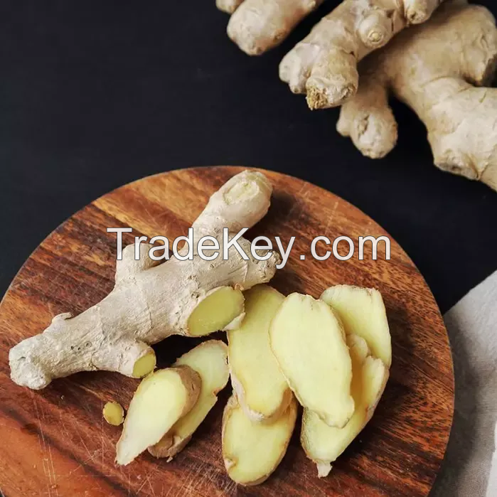 PREMIUM FRESH GINGER / AROMATIC AND SPICY FLAVOR / MADE IN VIETNAM