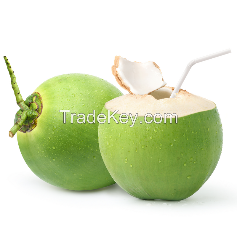 ORGANIC FRESH YOUNG COCONUT / PREMIUM QUALITY / AFFORDABLE PRICE / MADE IN VIETNAM