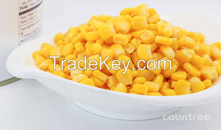 FRESHLY CANNED SWEET CORN NUTS / RICH IN TASTE / DISCOUNTED PRICE / MADE IN VIETNAM