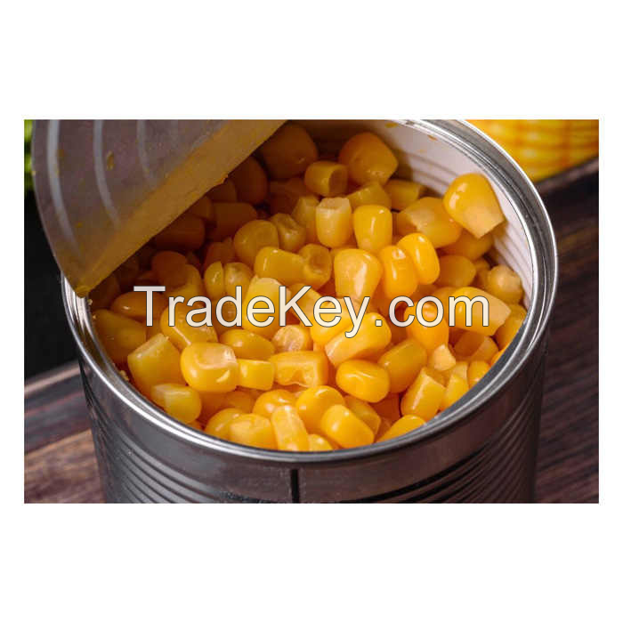 ALL-NATURAL SWEET CORN NUTS IN CAN / PURE GOODNESS / AFFORDABLE OPTION / MADE IN VIETNAM