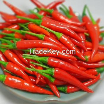 FARM-FRESH CHILI PEPPERS / BRIGHT AND FIERY HEAT / MADE IN VIETNAM