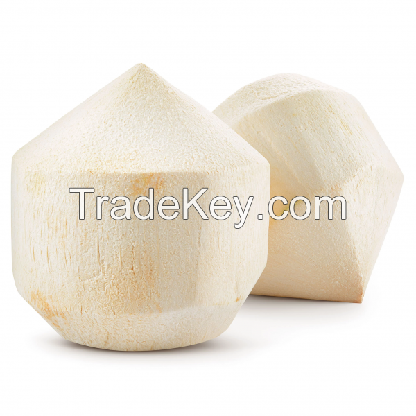 ORGANIC FRESH YOUNG COCONUT / PREMIUM QUALITY / AFFORDABLE PRICE / MADE IN VIETNAM