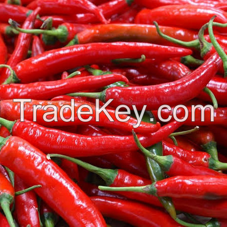 FARM-FRESH CHILI PEPPERS / BRIGHT AND FIERY HEAT / MADE IN VIETNAM