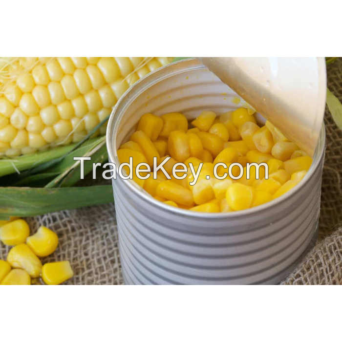 ALL-NATURAL SWEET CORN NUTS IN CAN / PURE GOODNESS / AFFORDABLE OPTION / MADE IN VIETNAM