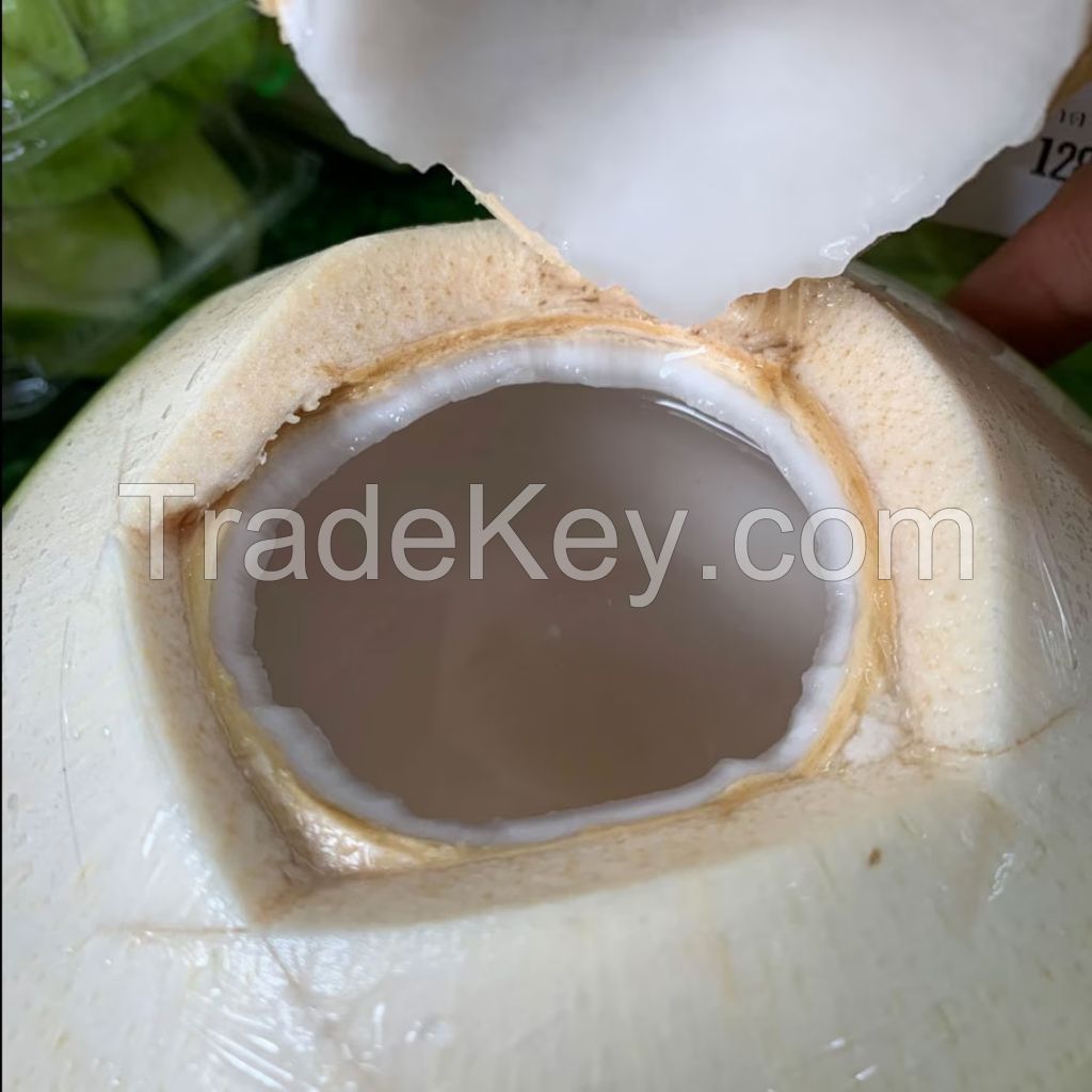 PREMIUM DIAMOND CUT COCONUT / CRISPY &amp; NATURAL / MADE IN VIETNAM