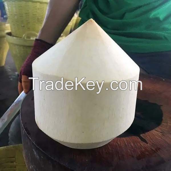 PREMIUM DIAMOND CUT COCONUT / CRISPY &amp; NATURAL / MADE IN VIETNAM