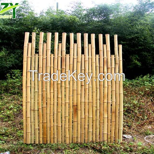 NATURAL BAMBOO FENCE / ECO-FRIENDLY OUTDOOR SCREEN / MADE IN VIETNAM