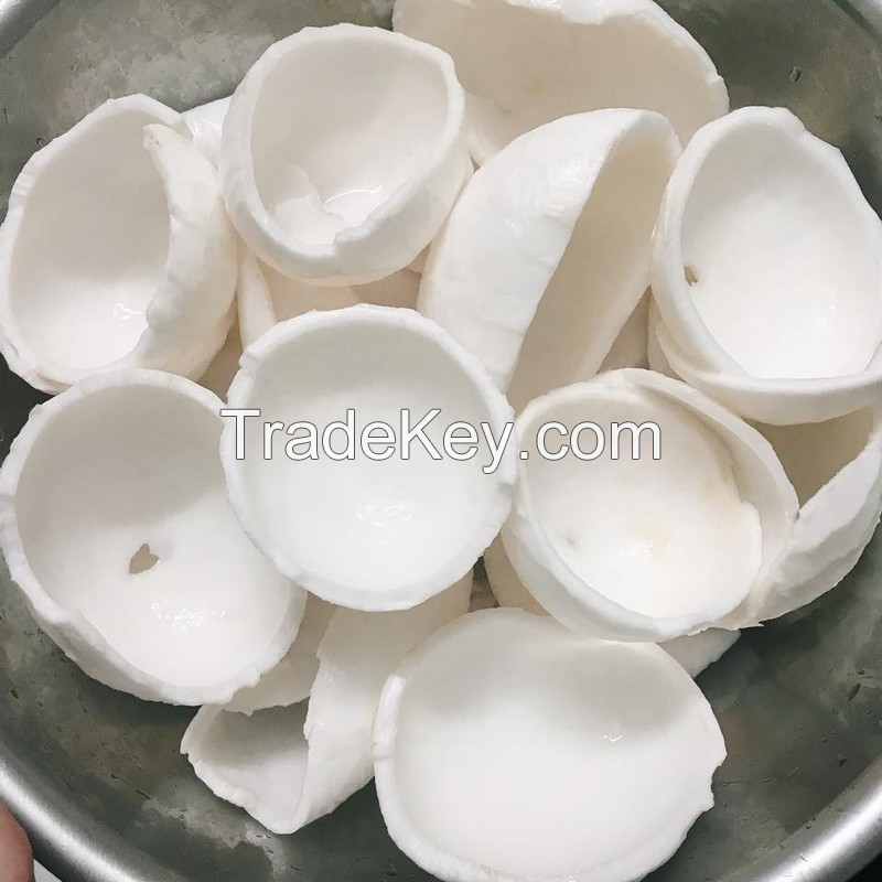 TOP-GRADE FROZEN COCONUT MEAT / PURE COCONUT FLAVOR & PREMIUM QUALITY / IDEAL FOR WHOLESALE / MADE IN VIETNAM 