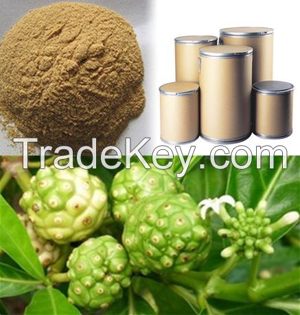 PURE NONI FRUIT POWDER / SUPERFOOD BOOST / MADE IN VIETNAM