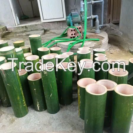NATURAL BAMBOO TUBE / ECO-FRIENDLY AND VERSATILE / MADE IN VIETNAM