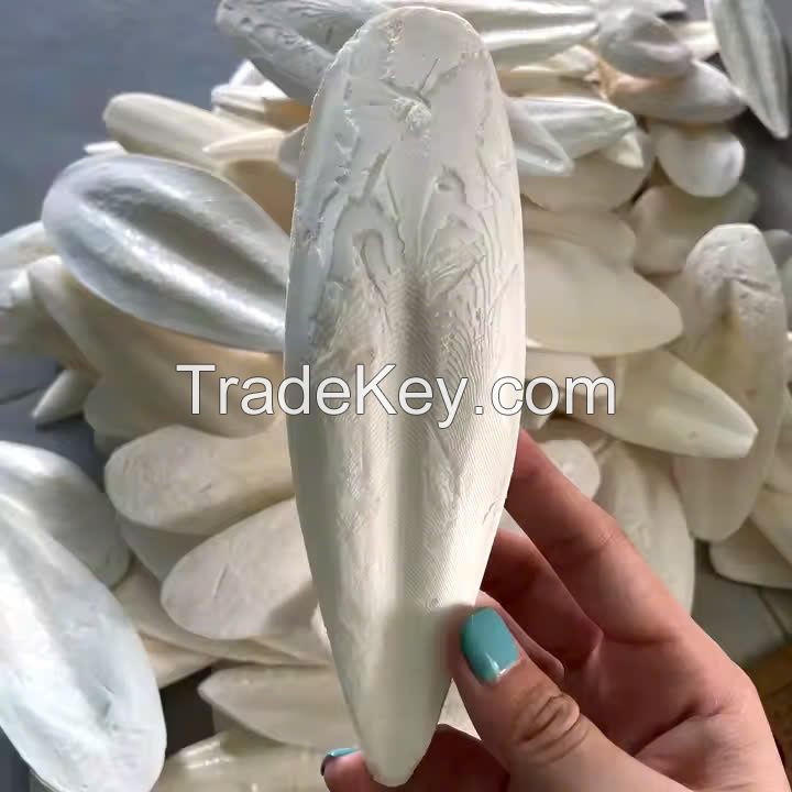 PREMIUM WHOLE SILK COCOONS / SKIN BRIGHTENING / MADE IN VIETNAM