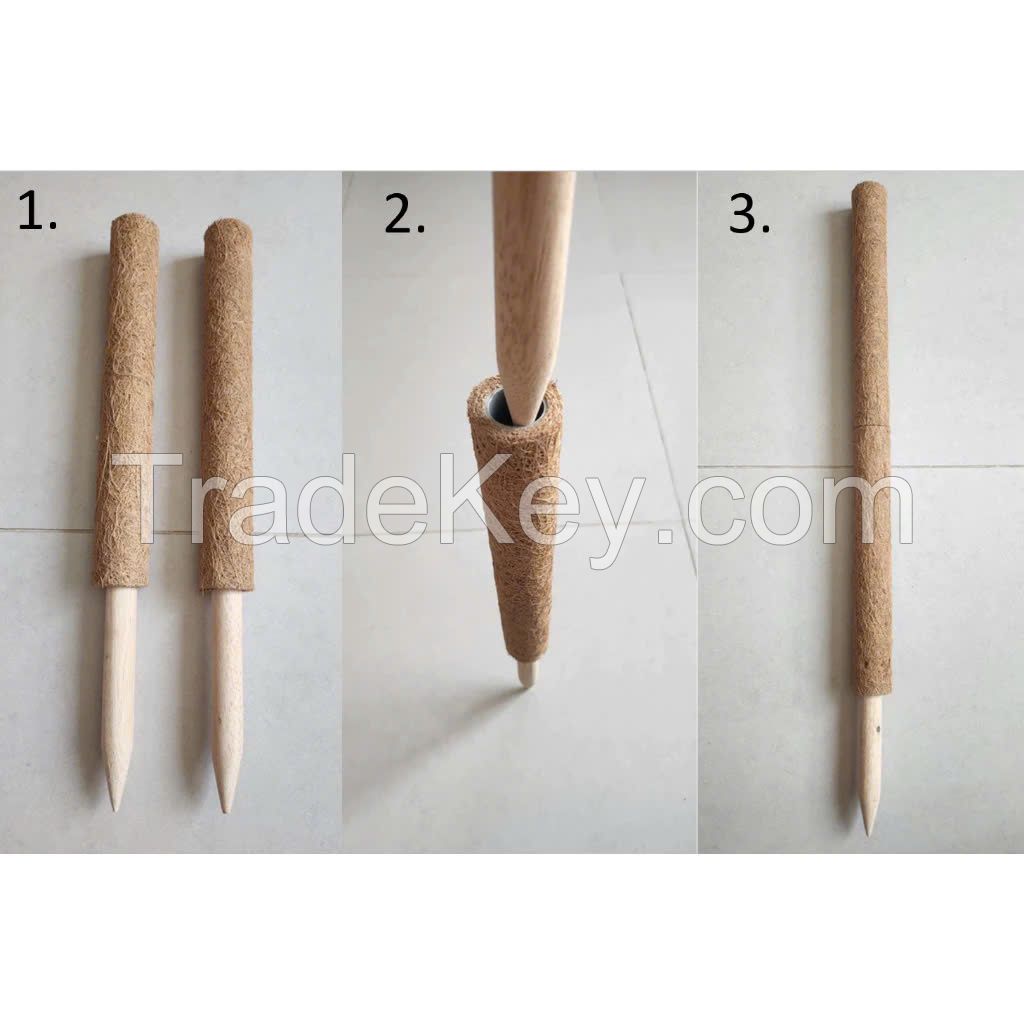 BIODEGRADABLE COIR MOSS SUPPORT POLE / BOOST YOUR PLANTÃ¢ï¿½ï¿½S CLIMB / MADE IN VIETNAM