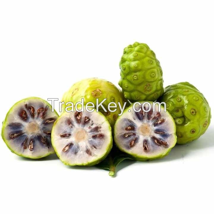 FRESHLY PICKED NONI FRUIT / FOR JUICES AND RECIPES / MADE IN VIETNAM