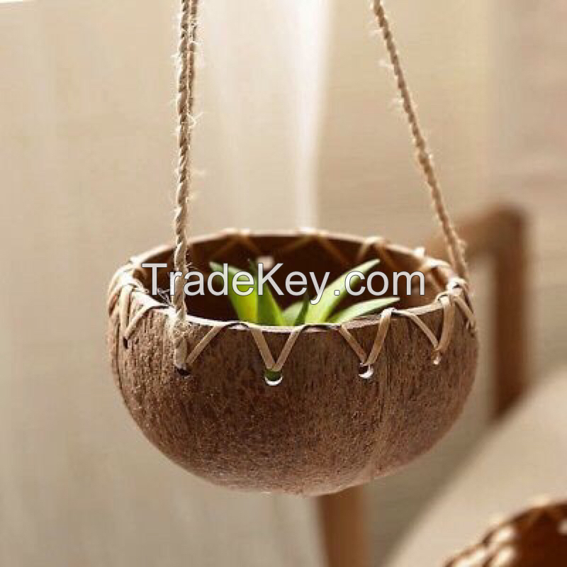 COCONUT SHELL GROW POTS / SUSTAINABLE FOR SEEDLINGS / MADE IN VIETNAM