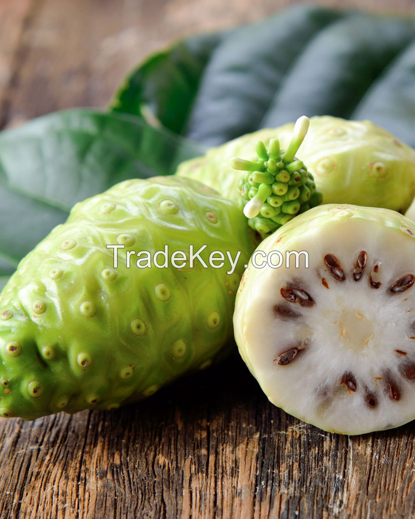 FRESHLY PICKED NONI FRUIT / FOR JUICES AND RECIPES / MADE IN VIETNAM