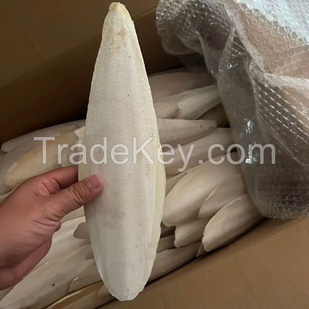 PREMIUM WHOLE SILK COCOONS / SKIN BRIGHTENING / MADE IN VIETNAM