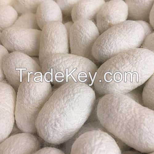 PREMIUM WHOLE SILK COCOONS / SKIN BRIGHTENING / MADE IN VIETNAM