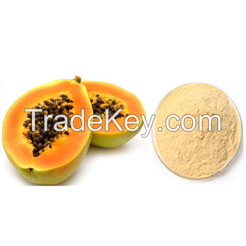 SUPERFOOD PAPAYA POWDER / VITAMIN-RICH & PURE / BULK DISCOUNT PRICING / MADE IN VIETNAM 