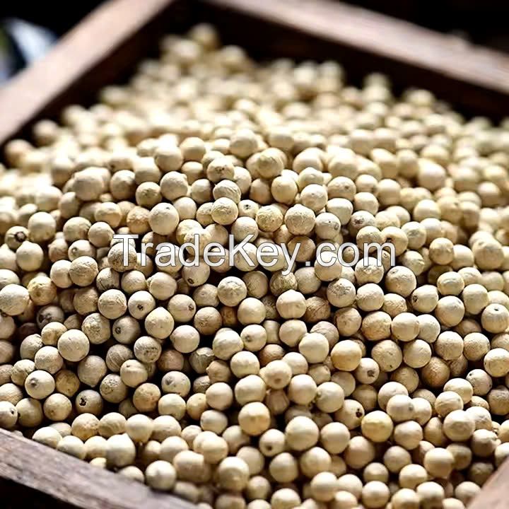 FRESH WHITE PEPPER WHOLE / SPICY AND RICH / VIETNAM HARVEST