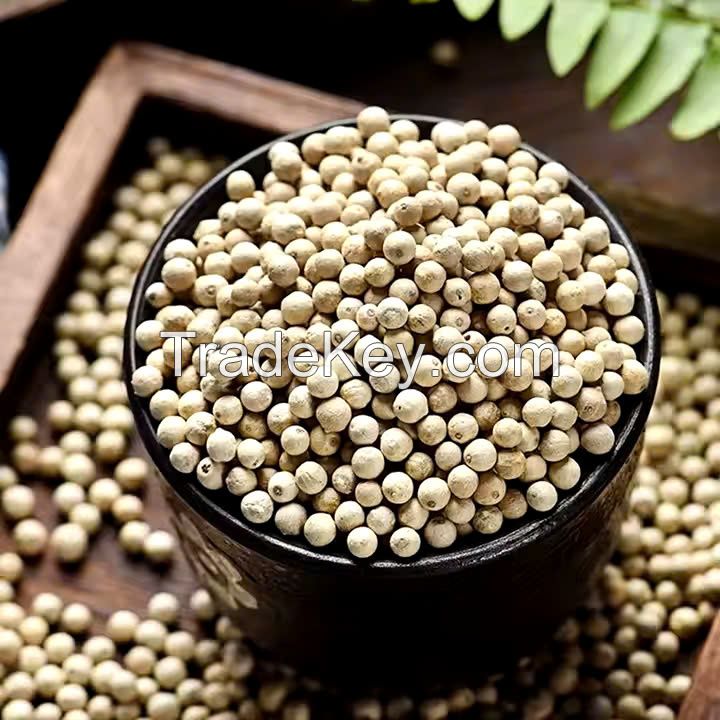 WHITE PEPPER WHOLE BEANS / DISTINCTLY PUNGENT / VIETNAM QUALITY